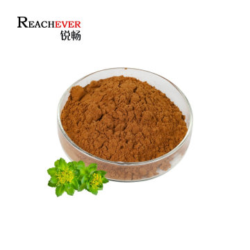 Wholesale Rhodiola Rosea Pure Natural Herb Rosea Rhodiola Extract Powder with 1% Salidroside
